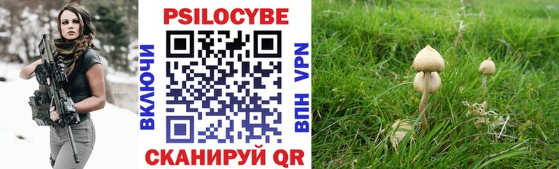 ссылка на мегу ссылка  Обь  Галлюциногенные грибы GOLDEN TEACHER  где можно купить наркотик 