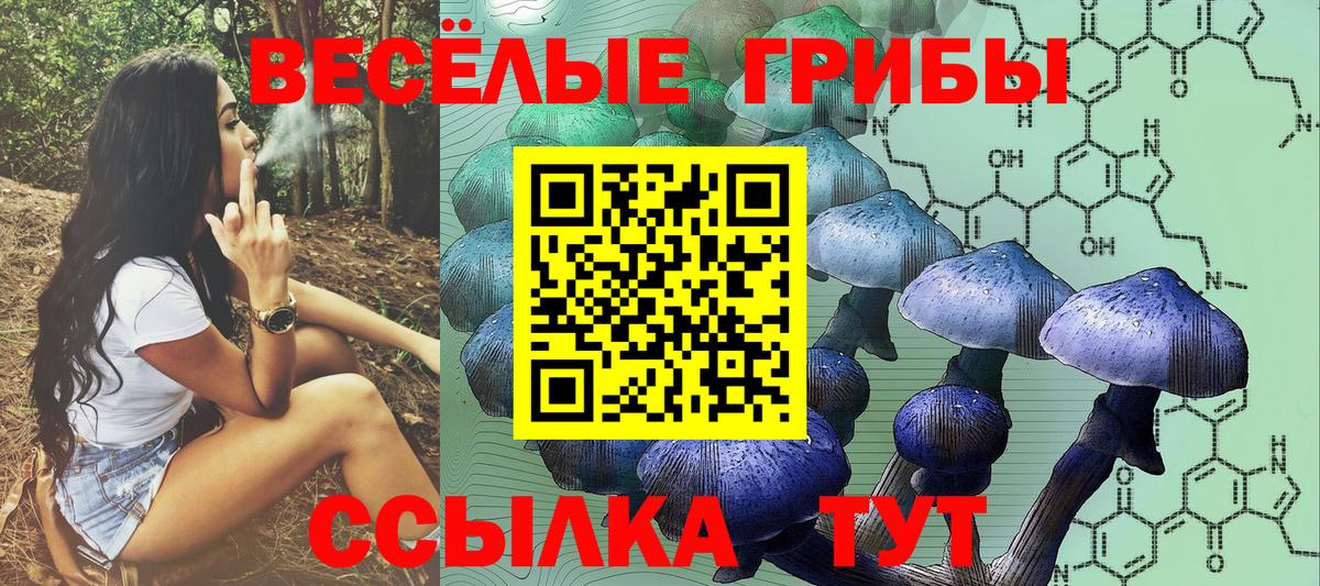 Галлюциногенные грибы прущие грибы Обь