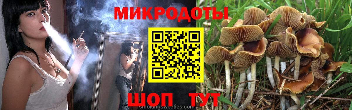 Обь  Псилоцибиновые грибы мицелий  Вход с VPN 