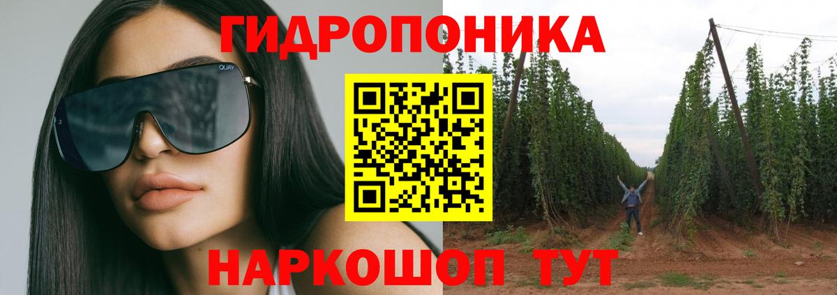 Бошки Шишки сатива Обь